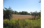 Property photo 73 - 80 Acres Offered in 4 Tracts - Horse Farm